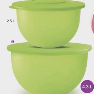 Tupperware Murano Bowl Set of 2